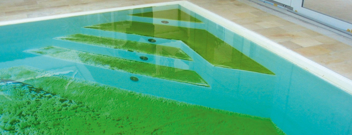 El problema de las bacterias en la piscina pspool12 1200px