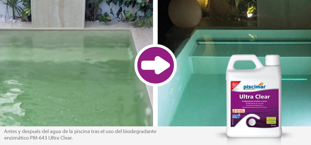 Bonet BEHQ En la piscina solo agua