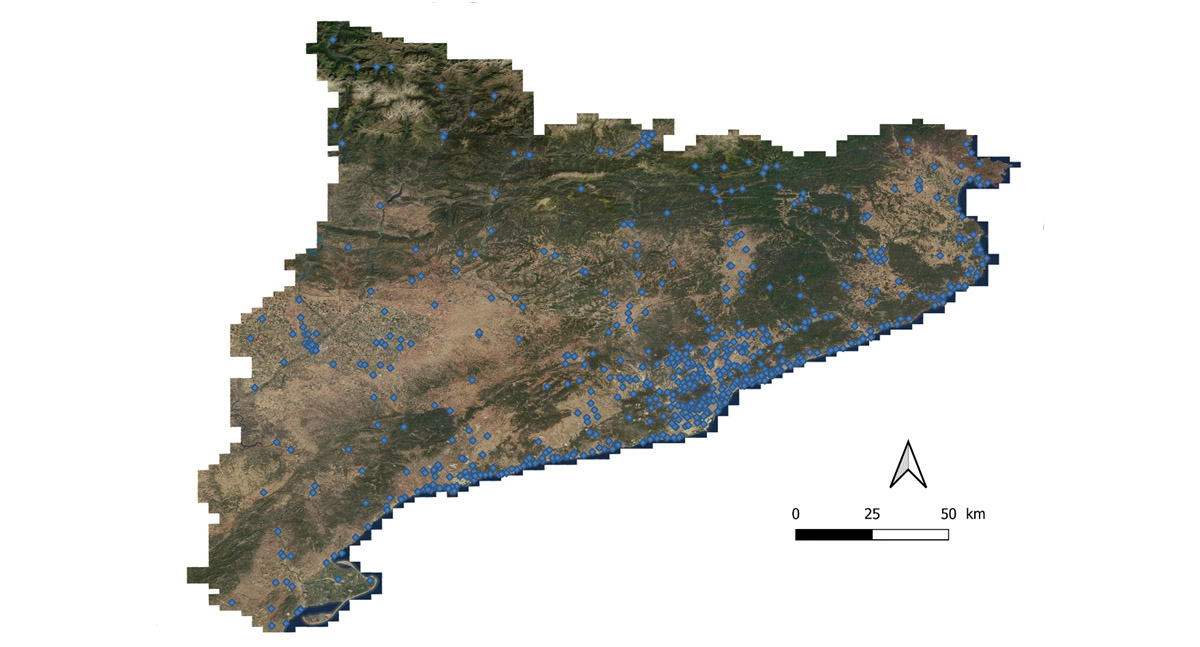 Las pistas de pádel y las aves