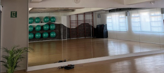 Indescat y Ambit - proyecto LivingLab-Fit ""