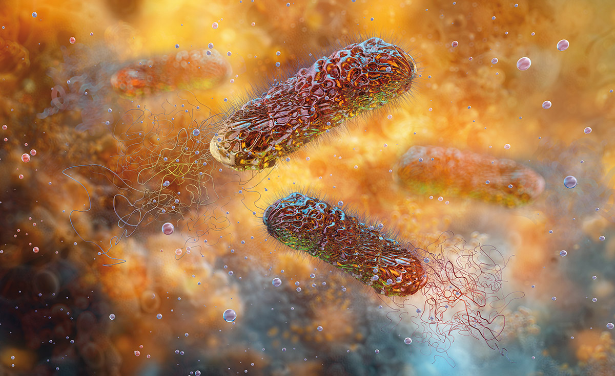 Pseudomonas aeruginosa en el agua ""