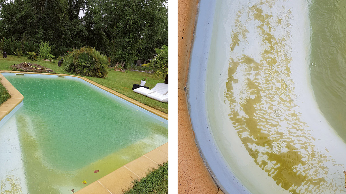 BONET - Estrategias contra algas y bacterias en piscinas 02 ""